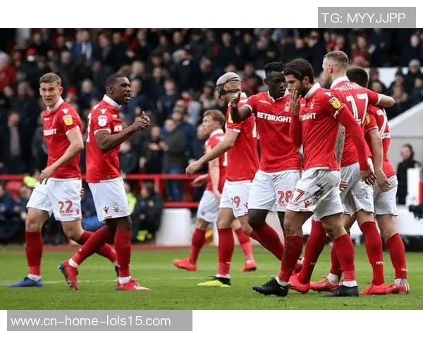 布赖顿与伯明翰的精彩对决揭示英冠联赛的激烈竞争与球队实力较量